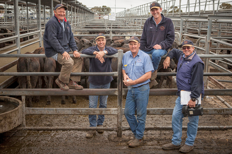 The Miller Whan & John Livestock team