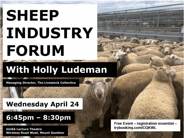 Glenburnie Livestock Report 10/4/24